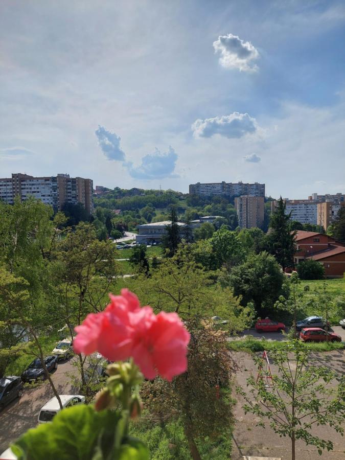 Retro Cosy Apartment Belgrad