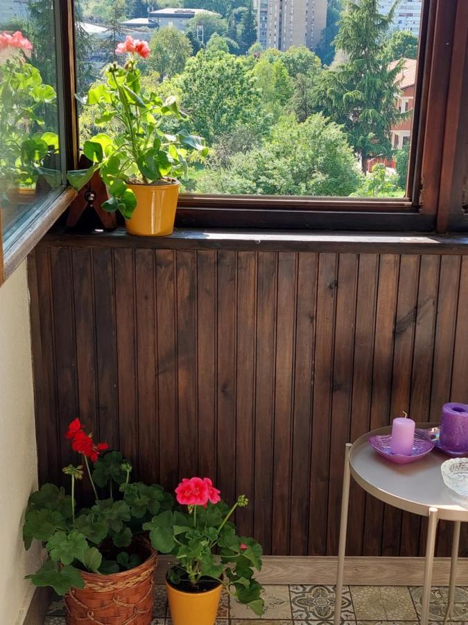 Apartment Retro Cosy Belgrad